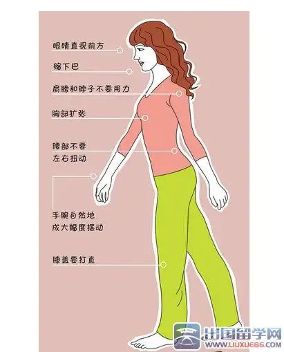 在行走时,上身基本保持站立的标准姿势,挺胸收腹,腰背笔直;两臂以