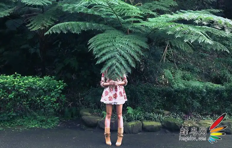 漂亮美女摄影师 分享iphone拍摄小秘诀