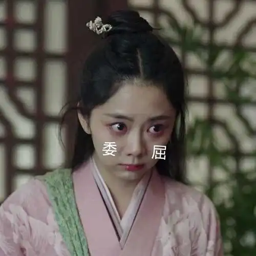 我想求一个今夏锦衣之下袁今夏谭松韵表情包的楼