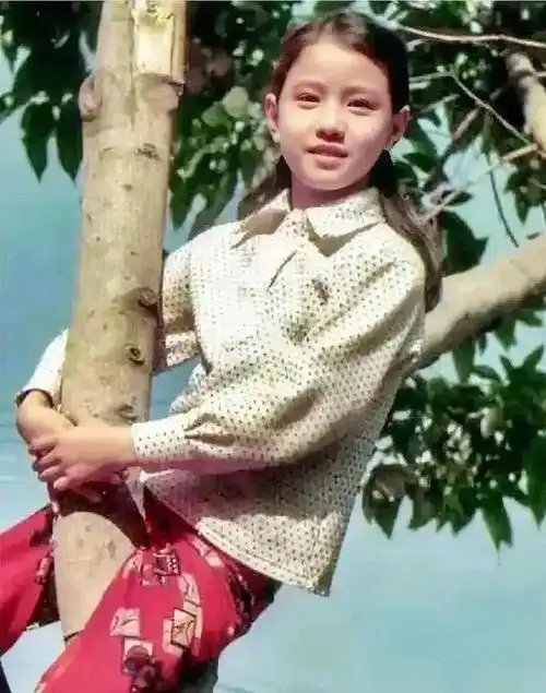 的青春时光|刘嘉玲|温兆伦|吕良伟|黄日华|周芷若|流氓大亨_网易订阅