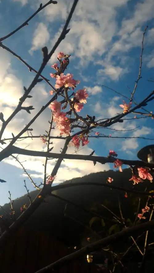 配上漂亮的天空,真的好漂亮!