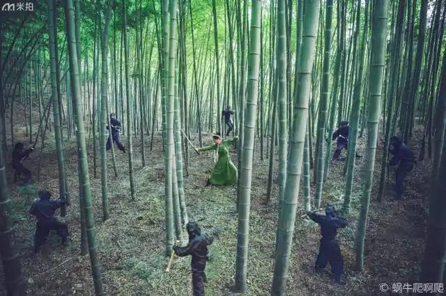 剑客侠肝义胆,看摄影师用镜头还原《十面埋伏》