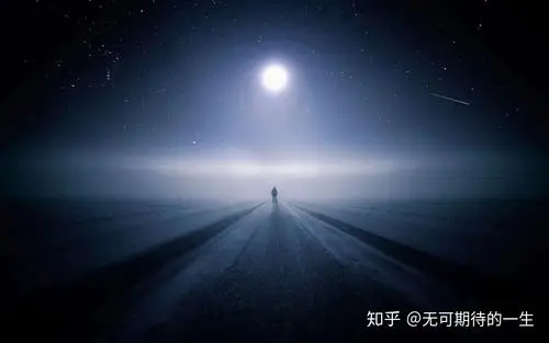 苍苍茫茫裹挟多少欢喜悲伤此生贪念痴妄回头看只剩荒唐念白:万念俱灰