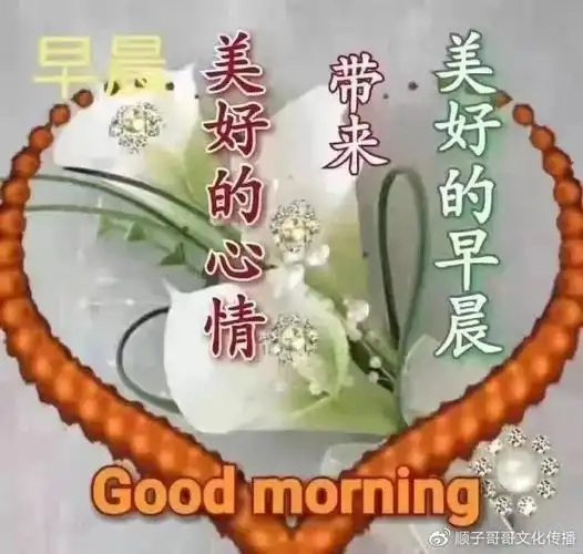 11月5日最新版漂亮早上好问候表情动态图片最美早上好问候动图带字