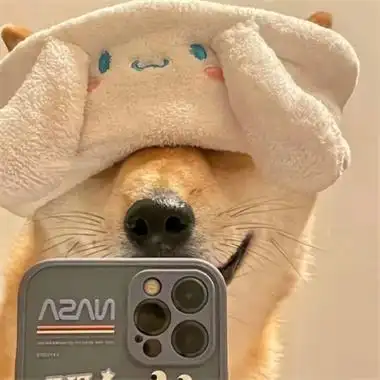 搞怪头像图片逗比抖音很搞笑的沙雕头像图