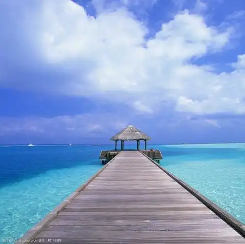 文化 欧式主题婚礼 教堂摄影 教堂素材 背景 建筑设计 复古 神圣 影楼