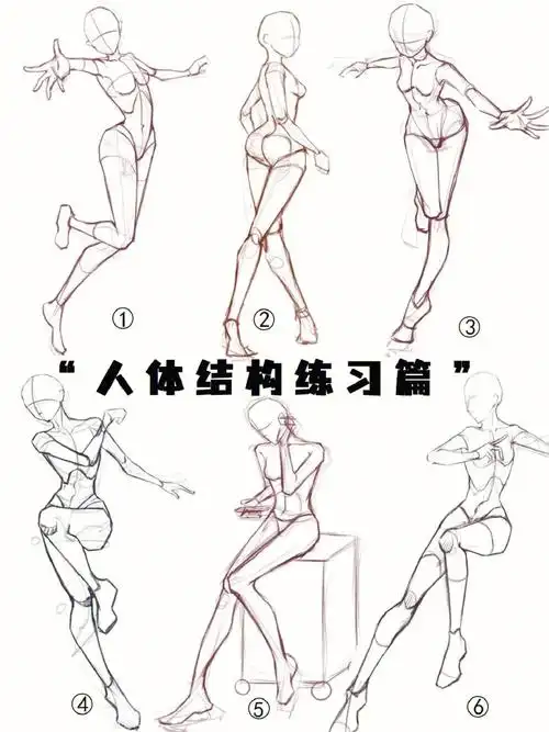 人体结构练习篇自学手绘人物人体速写