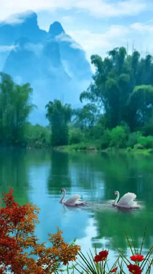 心旷神怡的景色