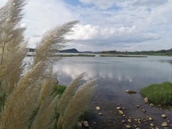 月亮湖避人攻略,向左96还是向右97