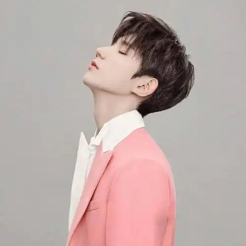 【微信头像】王源