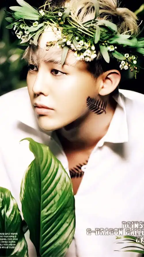 流行时尚g-dragon权志龙手机壁纸,高清图片,手机锁屏桌面-壁纸族