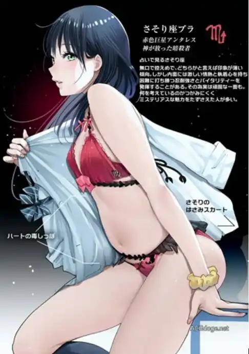 这车飚的有深度十二星座内衣系列插画你看过么