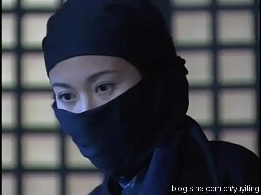 锦衣夜行十大美女明星惊艳刺客妆图