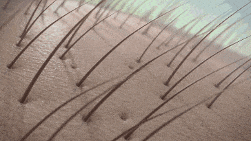 生发,从根源开始 aape蕴含150种生长因子 其他多种与细胞再生