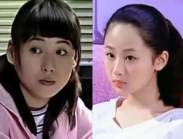 那个被怀疑是投资商女儿,抢了杨紫角色的宁丹琳,如今过得怎样?