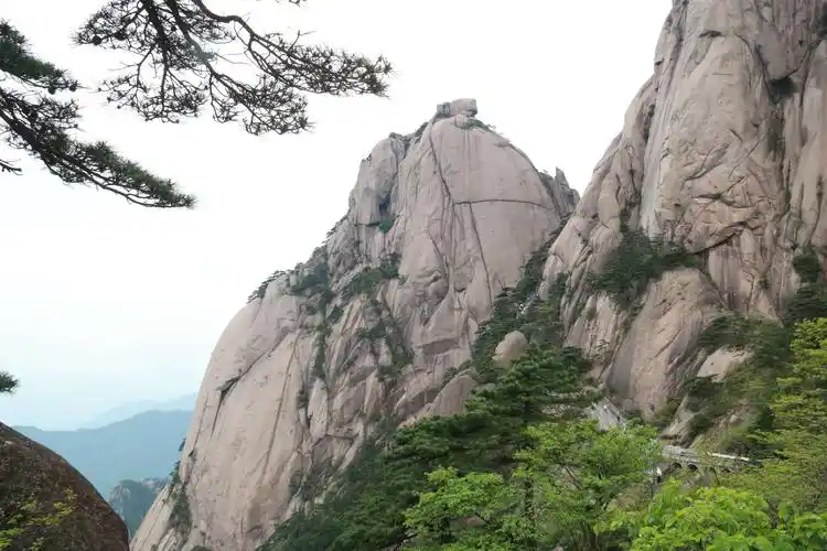 黄山标志性景观～迎客松