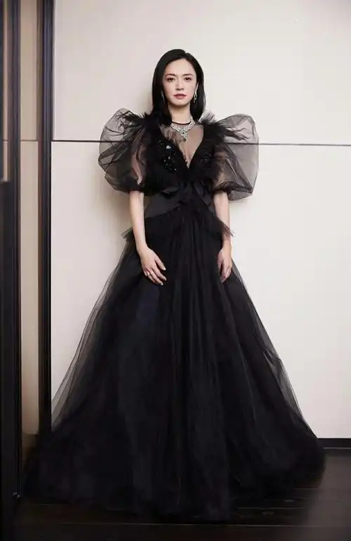 姚晨才是盛世美颜,一袭黑色纱裙高贵典雅,网友:黑天鹅营业了