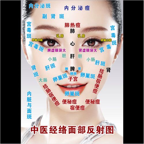 中医脸部面诊图脸面解养生馆装饰画刮痧示意图穴位按摩经络图