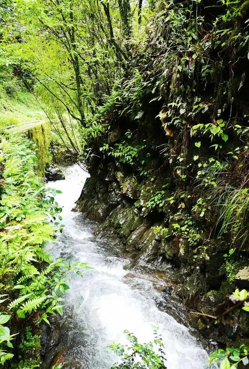 小河流水,河水清澈见底,顺流而下.
