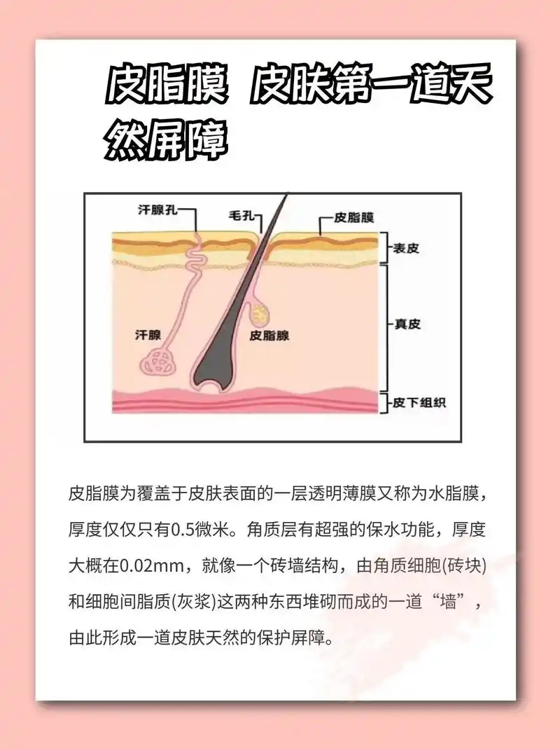 洗脸后皮肤感到紧绷,干燥,甚至脱屑,这是因为皮肤屏障受 座疮 - 抖音