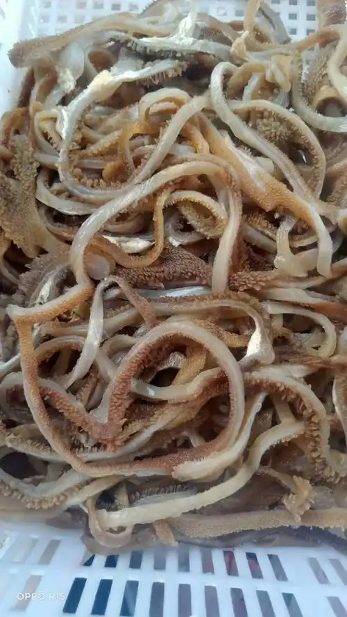 羊肚丝水发绵羊肚火锅食材新鲜羊杂唰羊肚丝丝羊杂商用羊肚