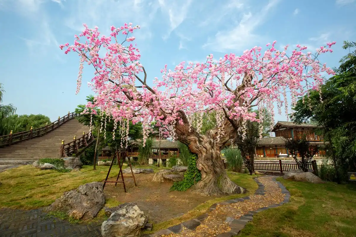 桃花源位于湖南省桃源县,是一个融合自然风光和人文气息的旅游胜地.