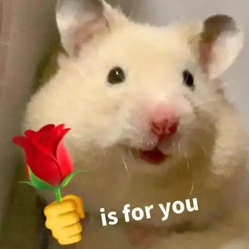 沙雕可爱表情包不快乐