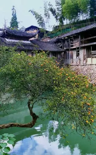 古风雅韵~真实的风景(副本)