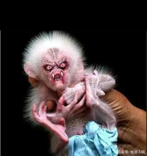 各种各样的外星人