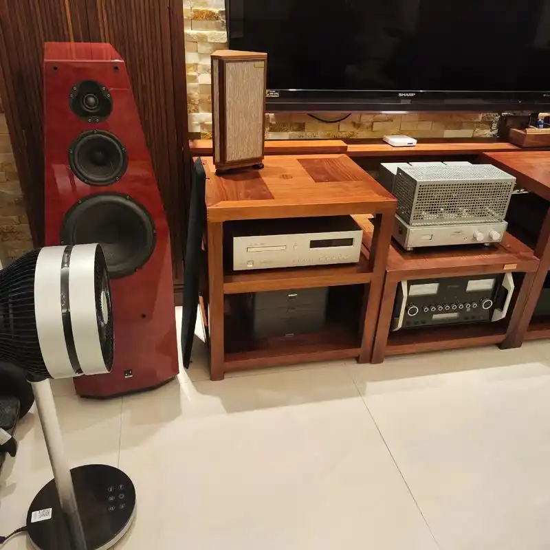 麦景图功放丽磁胆机写真8号音箱