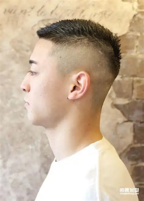 头发发质比较硬适合什么发型图片(头发多发质硬适合什么发型 女生)_须