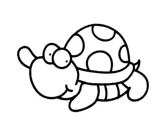 简笔画乌龟(简笔画乌龟彩色)