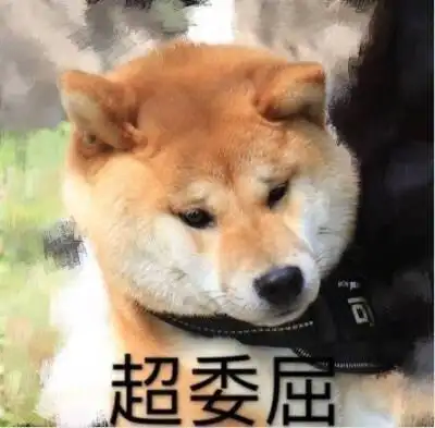 狗子 超委屈 表情包萌图聊天必备 微信表情包qq表情包