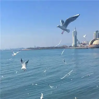 微信有意境唯美风景静态头像