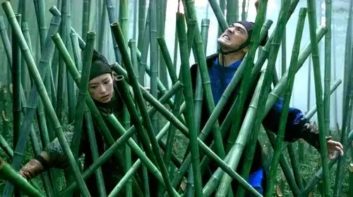 章子怡都有哪些好看的电影?