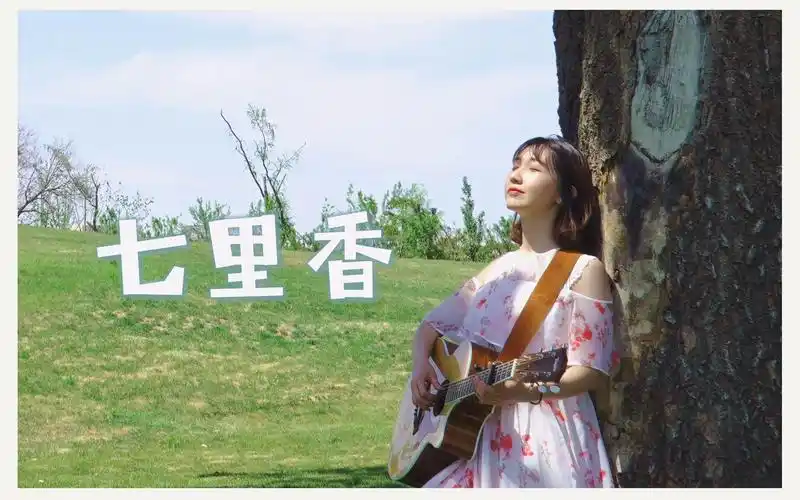【七里香弹唱 自制mv】文艺复兴 (cover:吕圈圈)