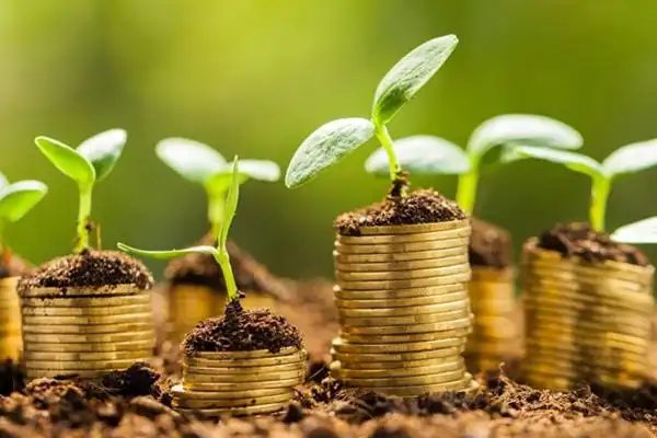 樊通书友会第205期塔罗心理学之塔罗心理咨询是迷信还是科学