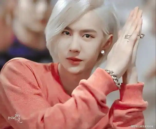 全世界都不应该错过王一博的白牡丹|古典乐|大陆综艺|闽南语音乐|白