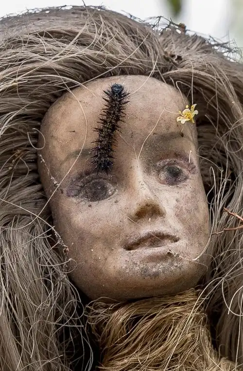 实拍:阴森诡异的鬼娃娃岛-思绪满屋