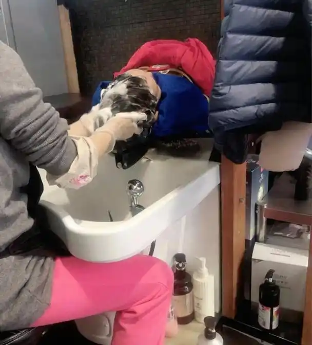 为啥女生不喜欢去理发店"洗头"?学徒告诉你4个真相,看完就懂