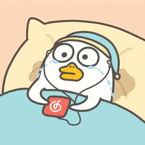 小刘鸭网易云情侣头像
