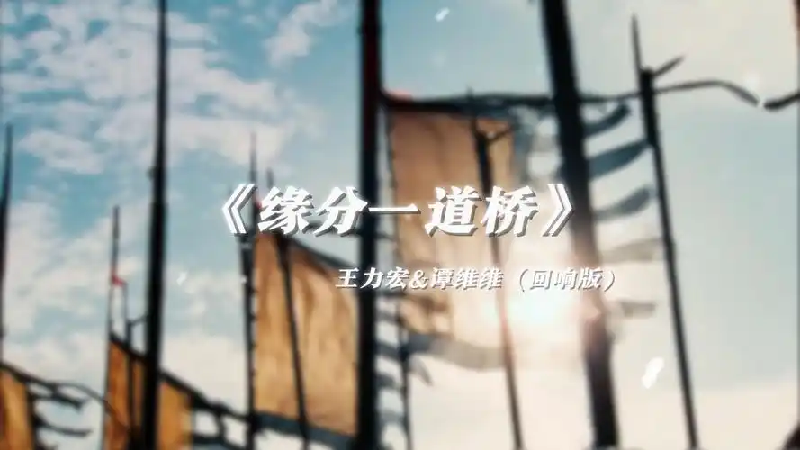 【回响版】《缘分一道桥》王力宏&谭维维 丨打得一拳开,免得百拳来