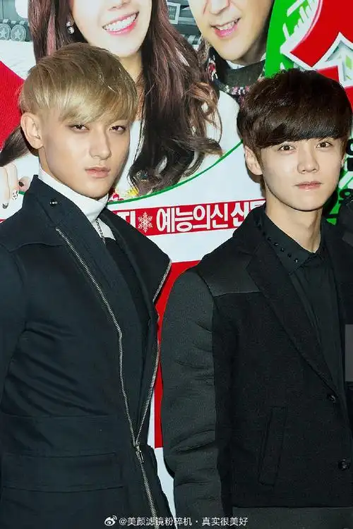 鹿晗黄子韬再合作