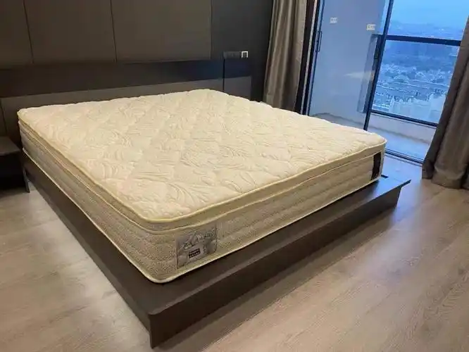 金可儿深坑 金可儿床垫 深坑2.