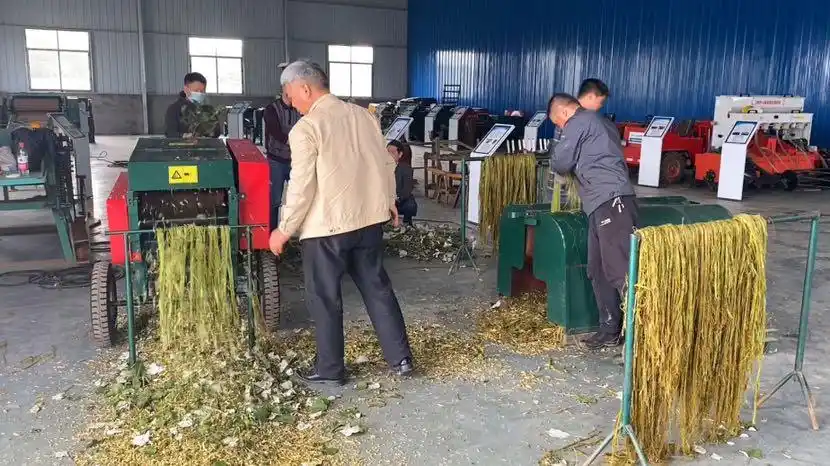 生产率提高三成!湖南成功研制直喂式苎麻剥麻机