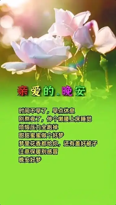 亲爱的晚安晚安