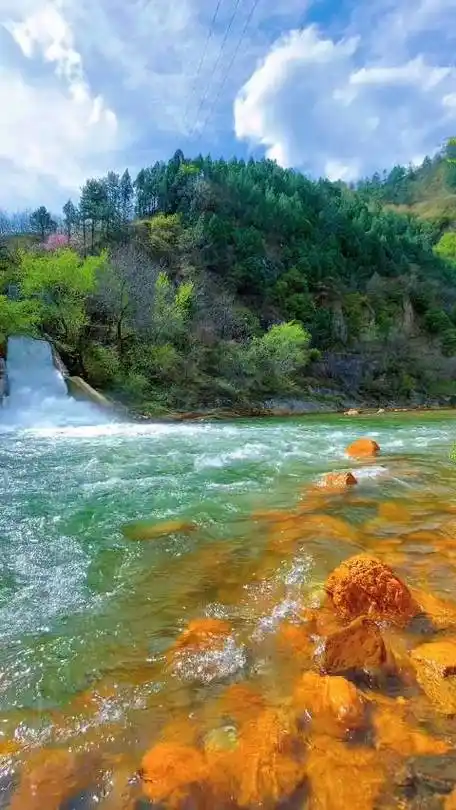 壁纸 风景 摄影 桌面 480_853 竖版 竖屏 手机