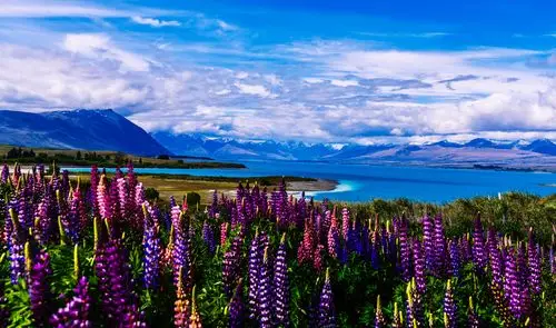 人间仙境新西兰