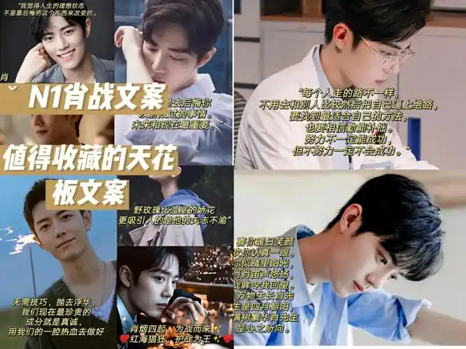 肖战文案战粉快来看