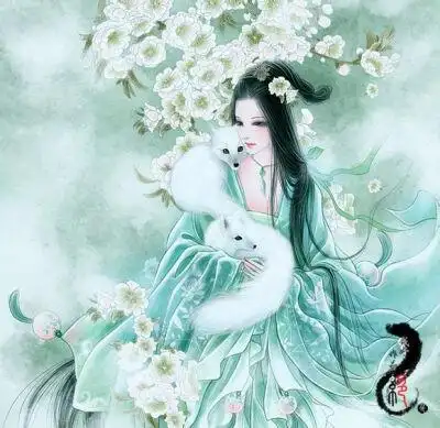 青丘白浅 九尾白狐族的上神,青丘白止帝君第五女,天孙夜华的未婚妻